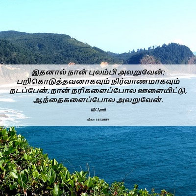 Picture 06 - மீகா 1:8 TAMIRV - இதனால் நான் - Bible Verse Picture