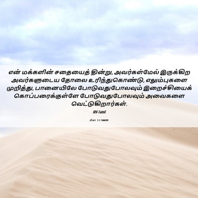 Picture 06 - மீகா 3:3 TAMIRV - என் மக்களின் - Bible Verse Picture