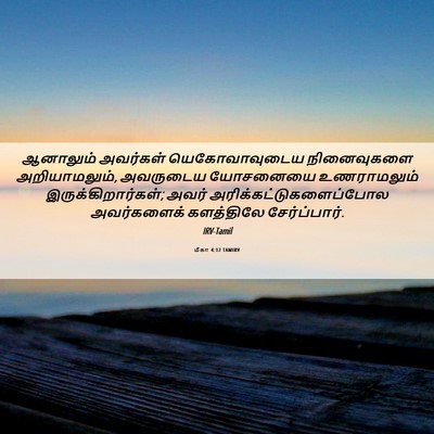 Picture 06 - மீகா 4:12 TAMIRV - ஆனாலும் அவர்கள் - Bible Verse Picture