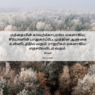 Picture 06 - மீகா 4:8 TAMIRV - மந்தையின் - Bible Verse Picture