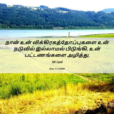 Picture 06 - மீகா 5:14 TAMIRV - நான் உன் - Bible Verse Picture