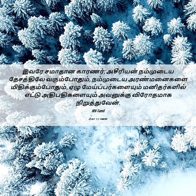 Picture 06 - மீகா 5:5 TAMIRV - இவரே சமாதான - Bible Verse Picture