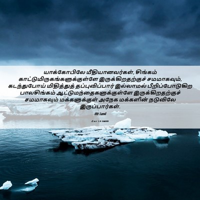 Picture 06 - மீகா 5:8 TAMIRV - யாக்கோபிலே - Bible Verse Picture