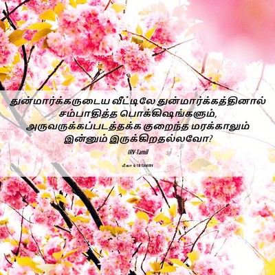 Picture 06 - மீகா 6:10 TAMIRV - துன்மார்க்கருடைய - Bible Verse Picture