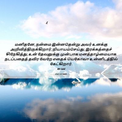 Picture 06 - மீகா 6:8 TAMIRV - மனிதனே, நன்மை - Bible Verse Picture