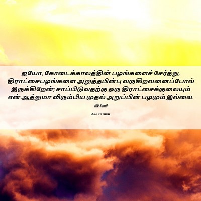 Picture 06 - மீகா 7:1 TAMIRV - ஐயோ, - Bible Verse Picture