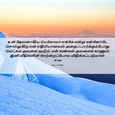 Picture 06 - மீகா 7:10 TAMIRV - உன் தேவனாகிய - Bible Verse Picture