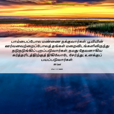 Picture 06 - மீகா 7:17 TAMIRV - பாம்பைப்போல மண்ணை - Bible Verse Picture
