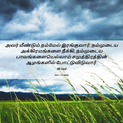 Picture 06 - மீகா 7:19 TAMIRV - அவர் மீண்டும் - Bible Verse Picture