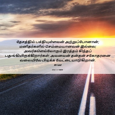 Picture 06 - மீகா 7:2 TAMIRV - தேசத்தில் - Bible Verse Picture