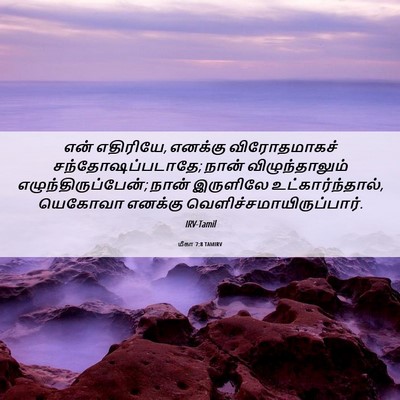 Picture 06 - மீகா 7:8 TAMIRV - என் எதிரியே, - Bible Verse Picture