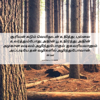 Picture 06 - யாக்கோபு 1:11 TAMIRV - சூரியன் கடும் - Bible Verse Picture