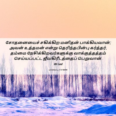 Picture 06 - யாக்கோபு 1:12 TAMIRV - சோதனையைச் - Bible Verse Picture