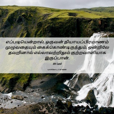 Picture 06 - யாக்கோபு 2:10 TAMIRV - எப்படியென்றால், - Bible Verse Picture