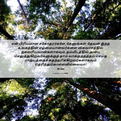 Picture 06 - யாக்கோபு 2:5 TAMIRV - என் பிரியமான - Bible Verse Picture