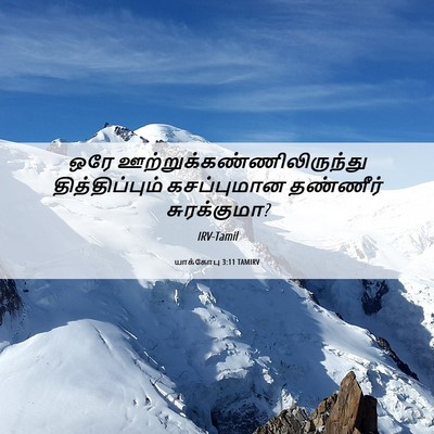 Picture 06 - யாக்கோபு 3:11 TAMIRV - ஒரே - Bible Verse Picture