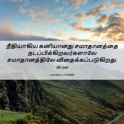 Picture 06 - யாக்கோபு 3:18 TAMIRV - நீதியாகிய - Bible Verse Picture