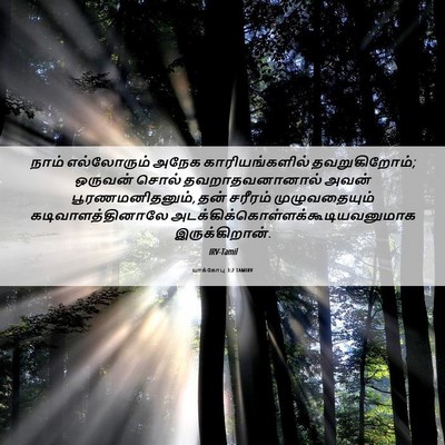 Picture 06 - யாக்கோபு 3:2 TAMIRV - நாம் எல்லோரும் - Bible Verse Picture