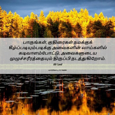 Picture 06 - யாக்கோபு 3:3 TAMIRV - பாருங்கள், - Bible Verse Picture