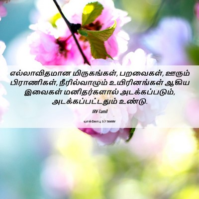Picture 06 - யாக்கோபு 3:7 TAMIRV - எல்லாவிதமான - Bible Verse Picture
