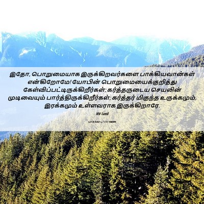 Picture 06 - யாக்கோபு 5:11 TAMIRV - இதோ, பொறுமையாக - Bible Verse Picture