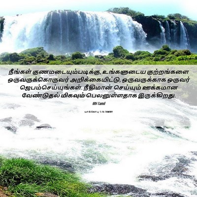 Picture 06 - யாக்கோபு 5:16 TAMIRV - நீங்கள் - Bible Verse Picture