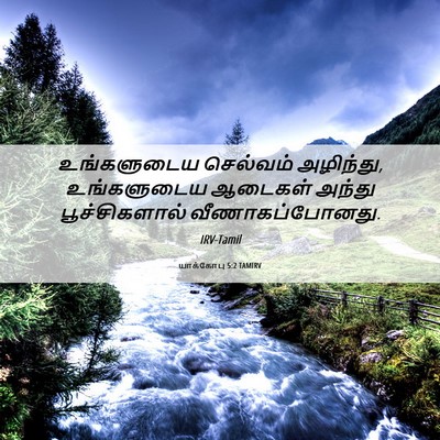 Picture 06 - யாக்கோபு 5:2 TAMIRV - உங்களுடைய செல்வம் - Bible Verse Picture