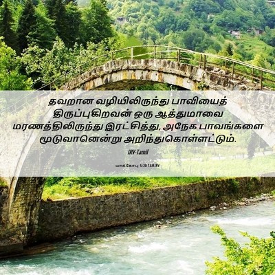 Picture 06 - யாக்கோபு 5:20 TAMIRV - தவறான - Bible Verse Picture