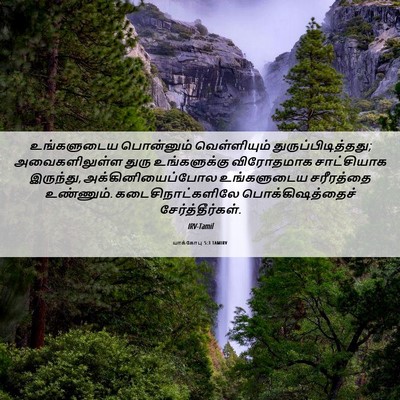 Picture 06 - யாக்கோபு 5:3 TAMIRV - உங்களுடைய - Bible Verse Picture
