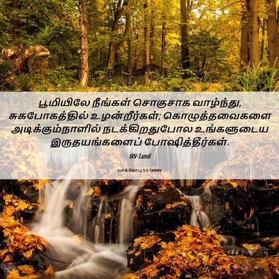Picture 06 - யாக்கோபு 5:5 TAMIRV - பூமியிலே நீங்கள் - Bible Verse Picture