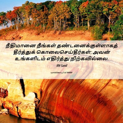 Picture 06 - யாக்கோபு 5:6 TAMIRV - நீதிமானை நீங்கள் - Bible Verse Picture