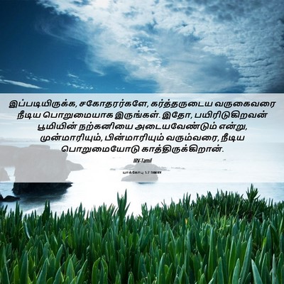 Picture 06 - யாக்கோபு 5:7 TAMIRV - இப்படியிருக்க, - Bible Verse Picture
