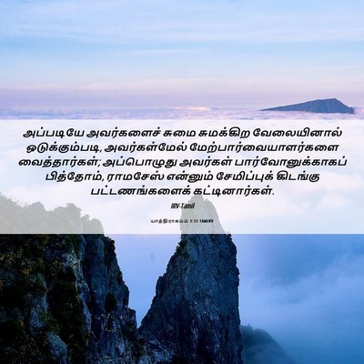 Picture 06 - யாத்திராகமம் 1:11 TAMIRV - அப்படியே - Bible Verse Picture