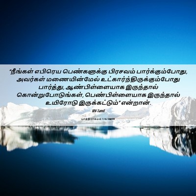 Picture 06 - யாத்திராகமம் 1:16 TAMIRV - “நீங்கள் எபிரெய - Bible Verse Picture