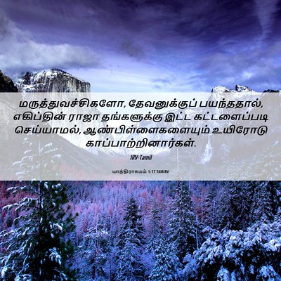 Picture 06 - யாத்திராகமம் 1:17 TAMIRV - மருத்துவச்சிகளோ, - Bible Verse Picture