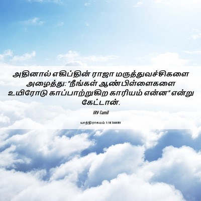 Picture 06 - யாத்திராகமம் 1:18 TAMIRV - அதினால் எகிப்தின் - Bible Verse Picture