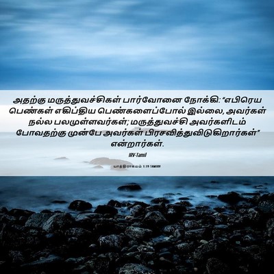 Picture 06 - யாத்திராகமம் 1:19 TAMIRV - அதற்கு - Bible Verse Picture