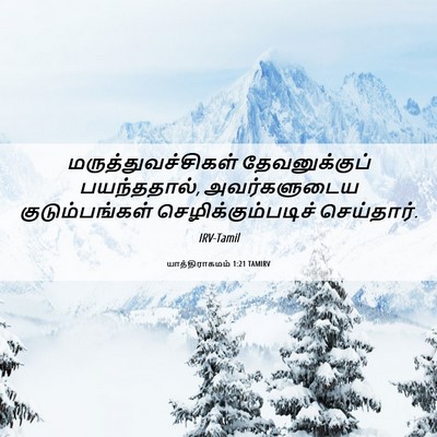 Picture 06 - யாத்திராகமம் 1:21 TAMIRV - மருத்துவச்சிகள் - Bible Verse Picture