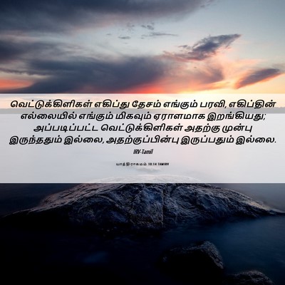 Picture 06 - யாத்திராகமம் 10:14 TAMIRV - வெட்டுக்கிளிகள் - Bible Verse Picture