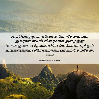 Picture 06 - யாத்திராகமம் 10:16 TAMIRV - அப்பொழுது - Bible Verse Picture