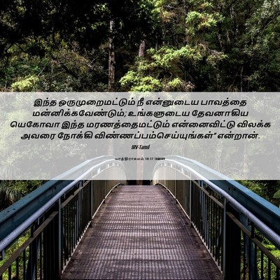 Picture 06 - யாத்திராகமம் 10:17 TAMIRV - இந்த - Bible Verse Picture