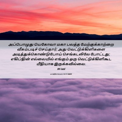 Picture 06 - யாத்திராகமம் 10:19 TAMIRV - அப்பொழுது யெகோவா - Bible Verse Picture