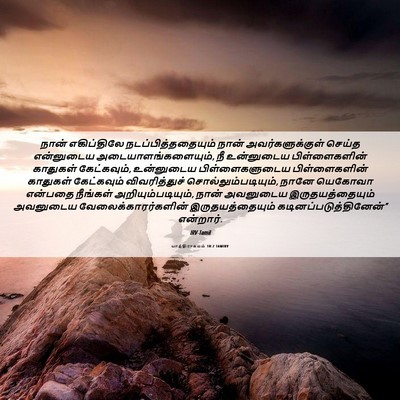 Picture 06 - யாத்திராகமம் 10:2 TAMIRV - நான் எகிப்திலே - Bible Verse Picture