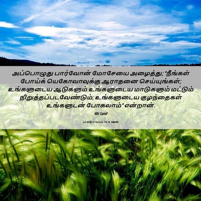 Picture 06 - யாத்திராகமம் 10:24 TAMIRV - அப்பொழுது - Bible Verse Picture