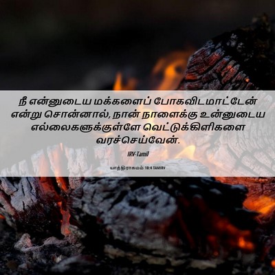 Picture 06 - யாத்திராகமம் 10:4 TAMIRV - நீ என்னுடைய - Bible Verse Picture