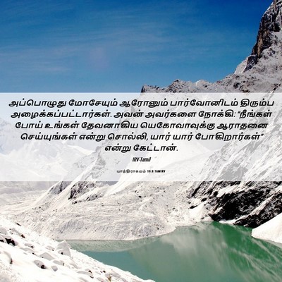 Picture 06 - யாத்திராகமம் 10:8 TAMIRV - அப்பொழுது - Bible Verse Picture