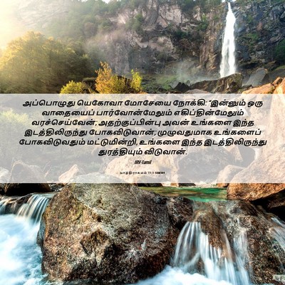 Picture 06 - யாத்திராகமம் 11:1 TAMIRV - அப்பொழுது யெகோவா - Bible Verse Picture