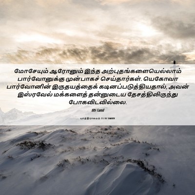 Picture 06 - யாத்திராகமம் 11:10 TAMIRV - மோசேயும் ஆரோனும் - Bible Verse Picture
