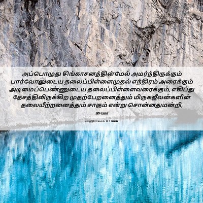 Picture 06 - யாத்திராகமம் 11:5 TAMIRV - அப்பொழுது - Bible Verse Picture