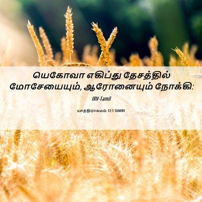 Picture 06 - யாத்திராகமம் 12:1 TAMIRV - யெகோவா எகிப்து - Bible Verse Picture